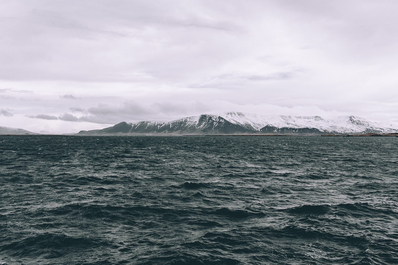 Saving Marine Life with Oceanic Green Energy Solutions